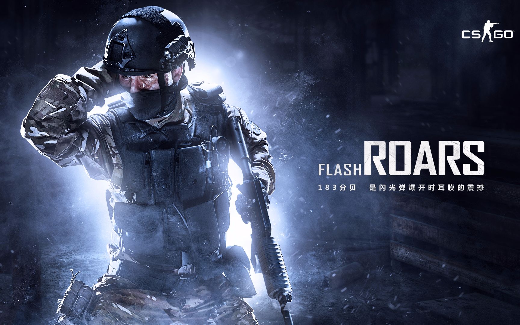 悉崔氏防守 悉崔氏防守