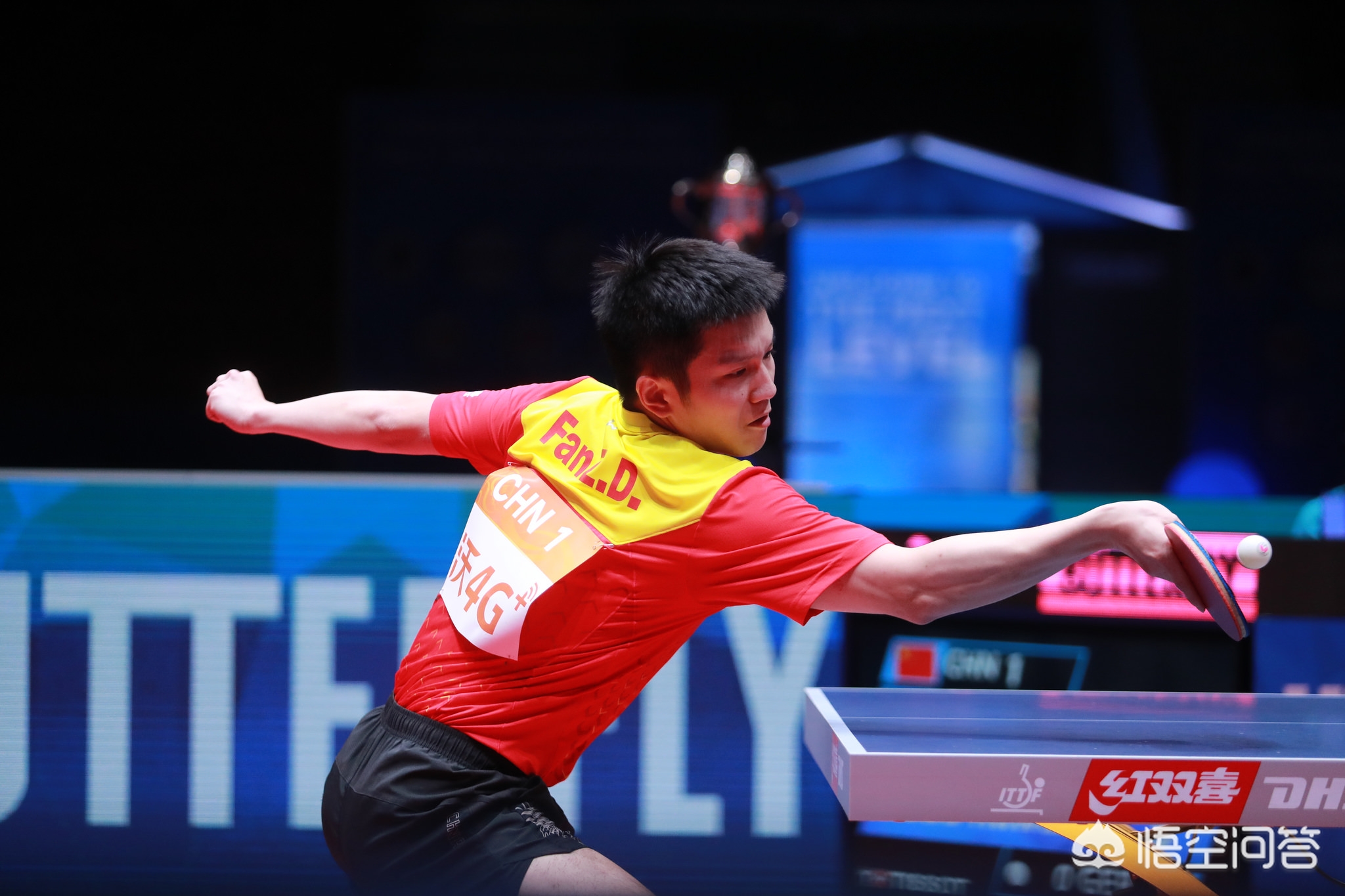 众多网球爱 众多网球爱